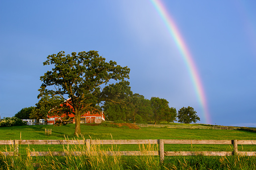 Rural landscape with red barn, fence, trees with bright rainbow