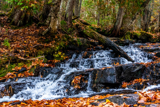 istock Waterfall in the forest during autumn. 1160470327