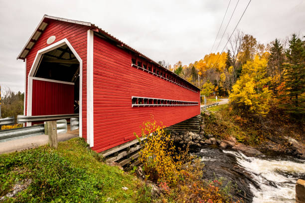 istock Covered bridge in the forest during autumn. 1160470405