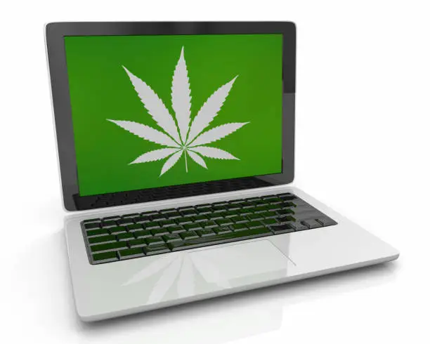 Marijuana Weed Pot Cannabis Task Laptop Computer Buy Online 3d Illustration