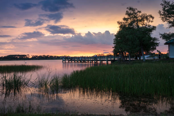 istock Sunset over Sugden Regional Park in Naples, Florida 1160472685