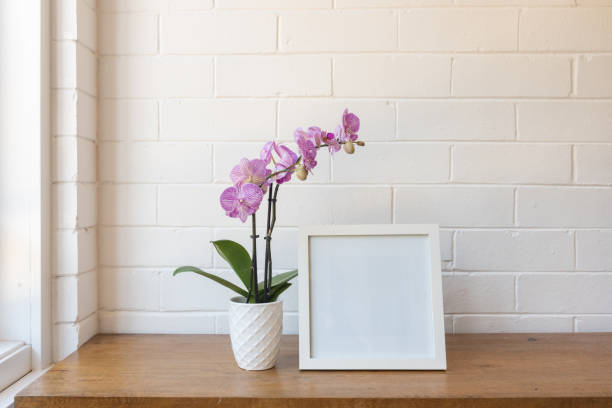 istock Purple moth orchid and blank square picture frame 1160473769