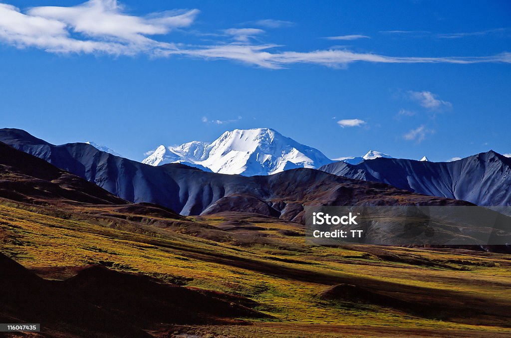Góra Mckinley ridge - Zbiór zdjęć royalty-free (Alaska)