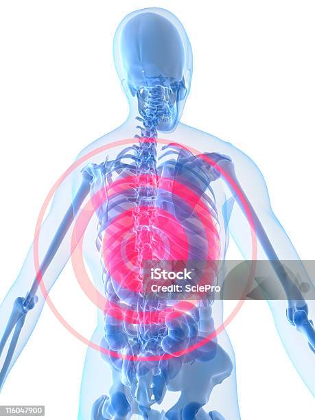 腰痛 - 3Dのストックフォトや画像を多数ご用意 - 3D, さしこみ痛, イラストレーション