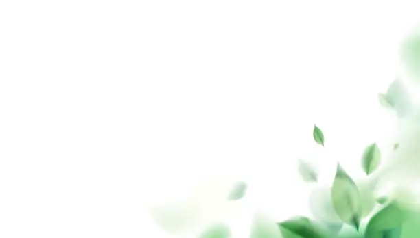 Vector illustration of Green spring nature background with leaves