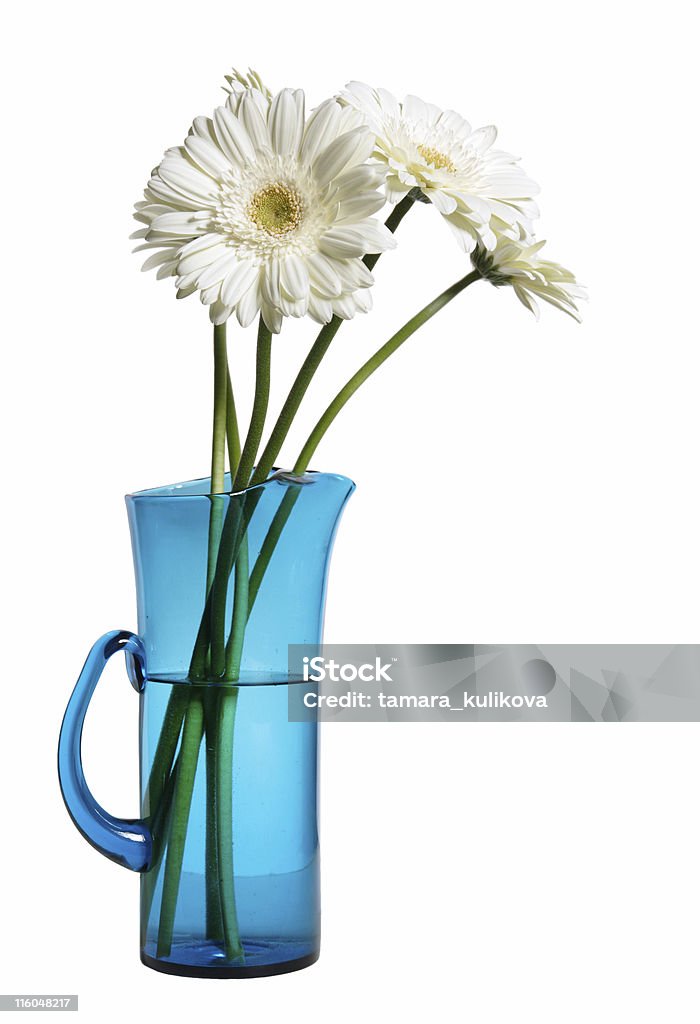 gerberas branco - Royalty-free Azul Foto de stock