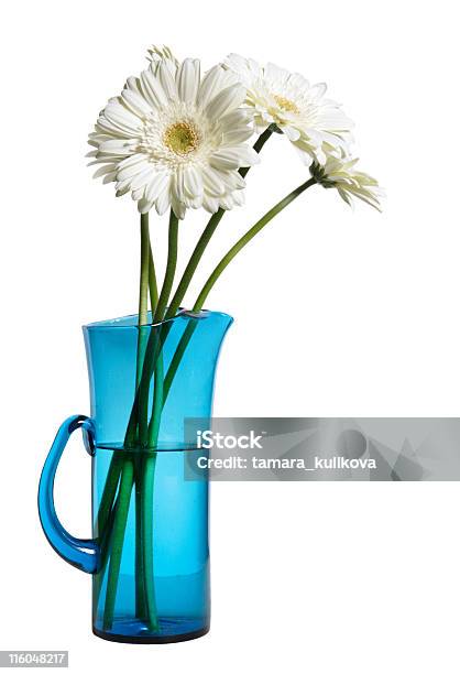 Gerberas Branco - Fotografias de stock e mais imagens de Azul - Azul, Beleza, Beleza natural