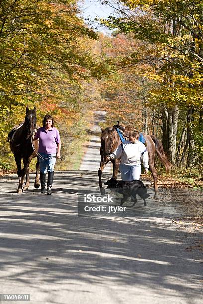 Passi Di Cavalli - Fotografie stock e altre immagini di Persone - Persone, Camminare, Cavallo - Equino