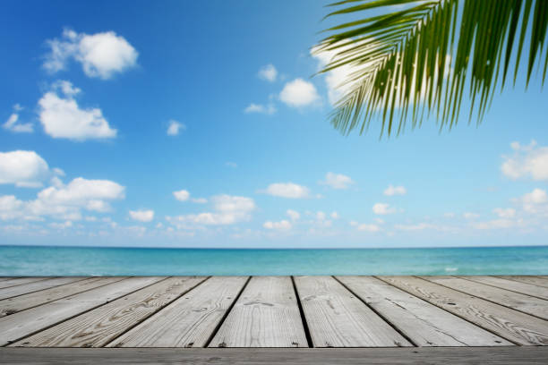 istock Empty wooden and tropical beach background with palm tree, summer. 1160484202