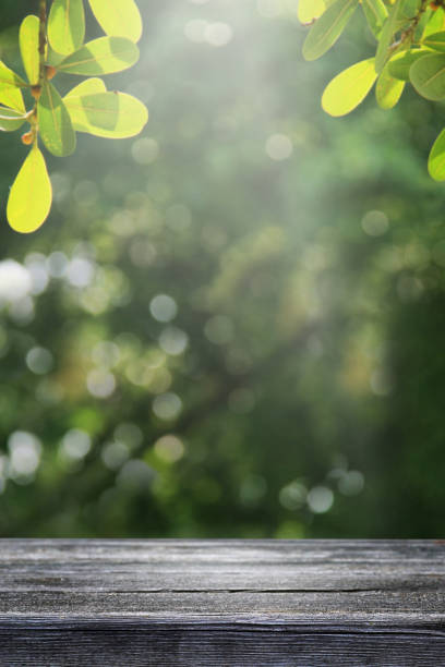 istock Empty wooden table and blurred nature garden background. 1160486257