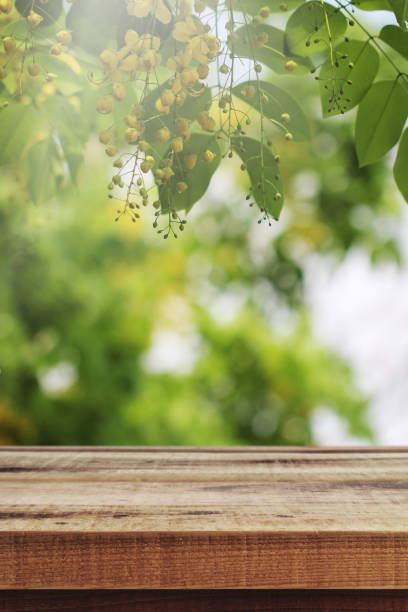 istock Empty wooden table and blurred beautiful flowers nature background, Spring. 1160491472