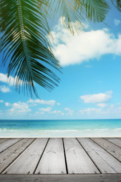 istock Tropical beach background with palm tree and empty wooden, Summer. 1160492583