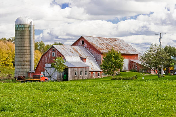 istock Red Dairy Barn in Autumn 116049524