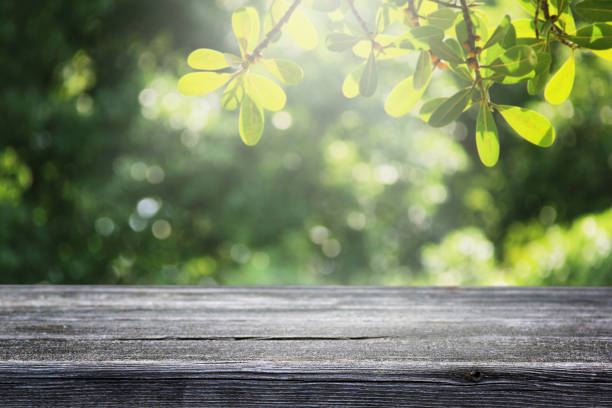 istock Empty wooden table and blurred nature garden background. 1160495597