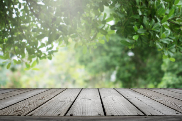 istock Wooden table and blurred green nature garden background. 1160496417