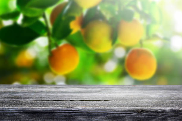 istock Empty wooden table and blur nature orange garden background. 1160497256