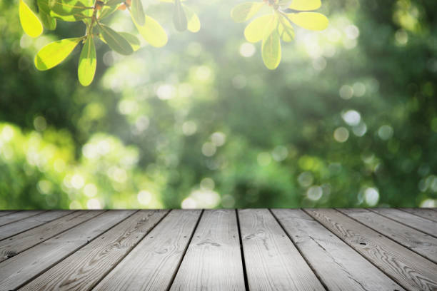 istock Empty wooden table and blurred nature garden background. 1160497298