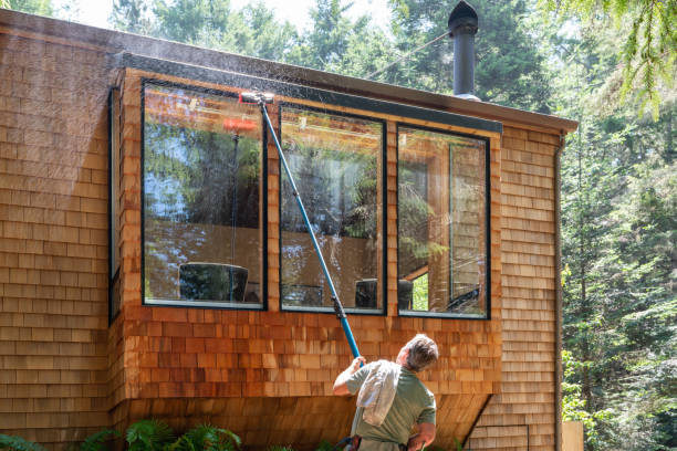 istock Man washing window with long pole and brush 1160499301