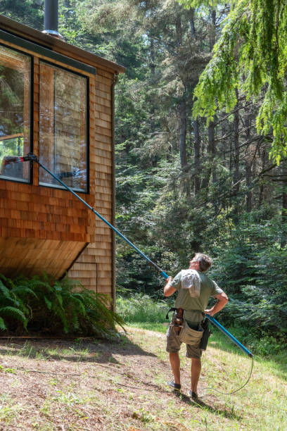 istock Man washing window with long pole and brush 1160500234