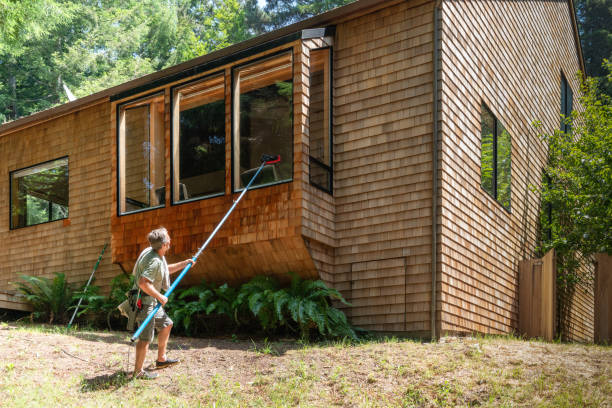 istock Man washing window with long pole and brush 1160500996