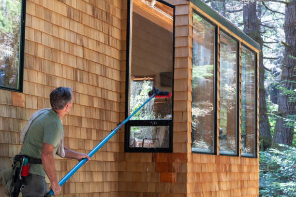 istock Man washing window with long pole and brush 1160501232