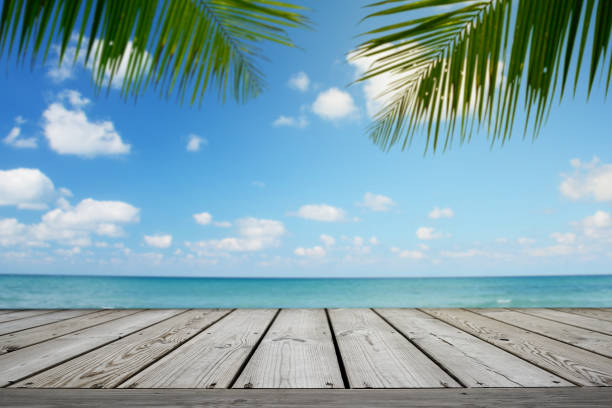 istock Empty wooden and tropical beach background with palm tree, summer. 1160502787