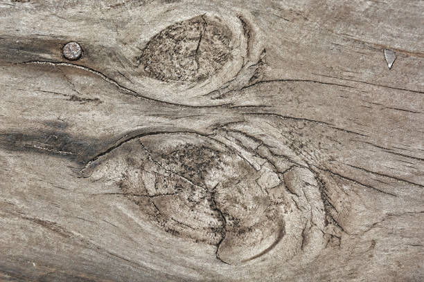 istock Old wood texture with cracks and knots 1160504992