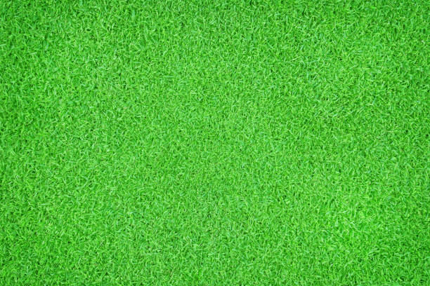 istock Seamless green grass natural background. Top view 1160508878