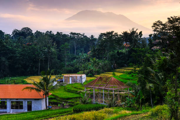 istock Morning View from Sidemen, Bali 1160509792