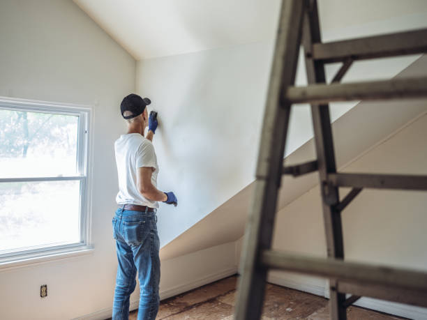 istock Senior man painting apartment interior 1160510125