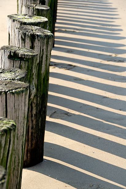 Wooden breakwater overgrown with algae projecting their shadows  on a North Sea beach in Zeeland, the Netherlands.
