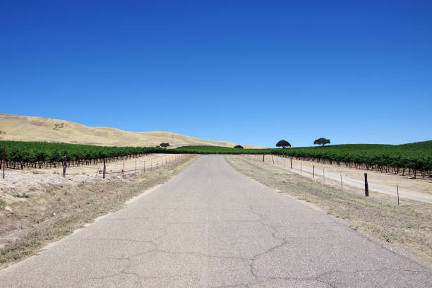 istock California Country Road 1160514627