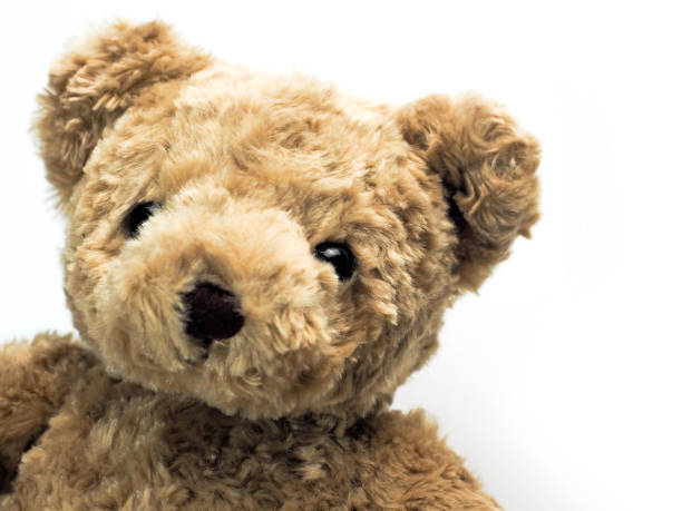 istock Close up, Teddy Bear Isolated on white background 1160516541