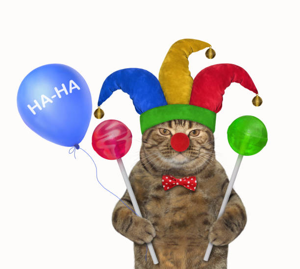 istock Cat clown with colored lollipops 2 1160518567