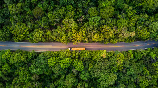 istock Forest Road, Aerial view over tropical tree forest with a road going through with car. 1160522497