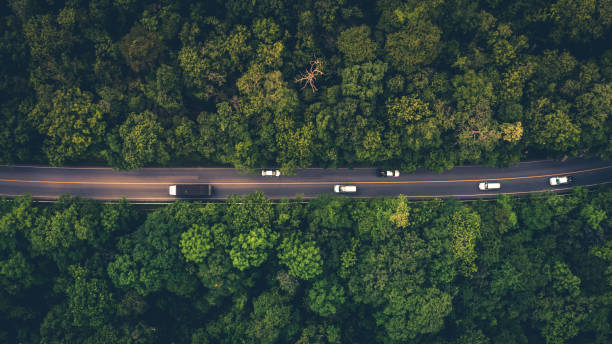 istock Forest Road, Aerial view over tropical tree forest with a road going through with car. 1160522510
