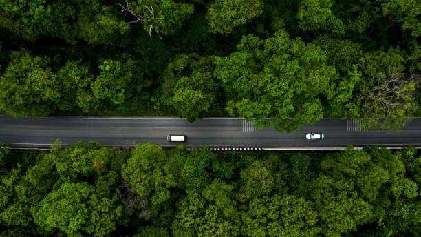 istock Forest Road, Aerial view over tropical tree forest with a road going through with car. 1160522511