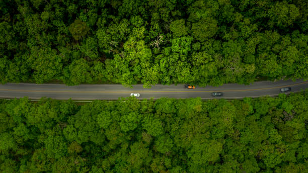 istock Forest Road, Aerial view over tropical tree forest with a road going through with car. 1160522514