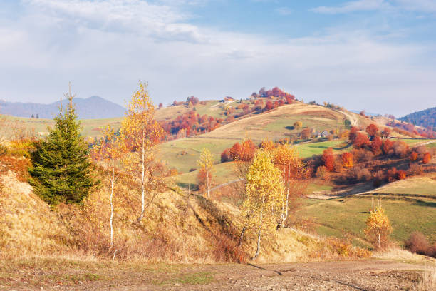 istock calm autumn morning in the mountains 1160524890