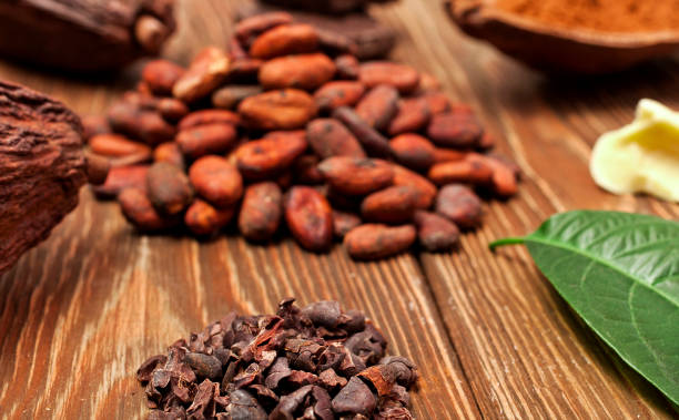 istock Heaps of cocoa beans and cocoa nibs 1160525026