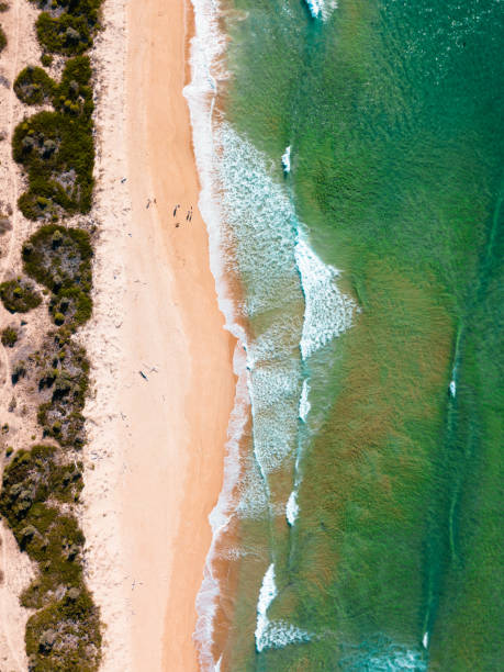 istock aerial view of an empty beach in australia 1160527765