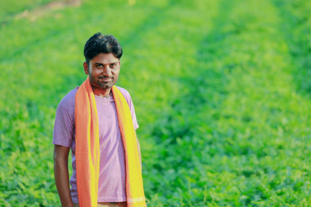 istock Young indian farmer at field 1160530090