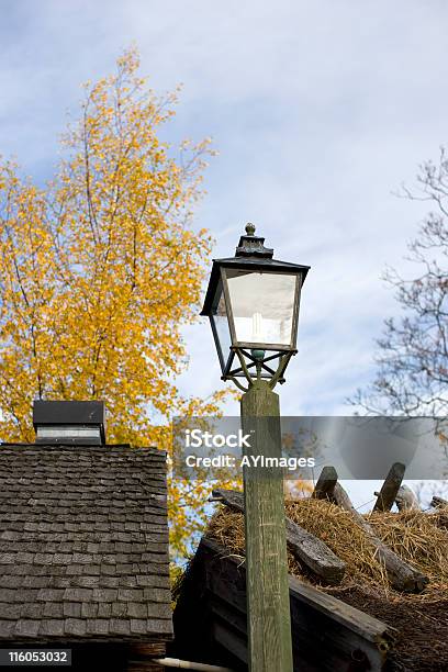 Outono Luz - Fotografias de stock e mais imagens de Ao Ar Livre - Ao Ar Livre, Cena Rural, Cultura Sueca