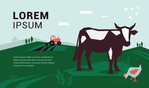 stockillustraties, clipart, cartoons en iconen met illustratie van de landbouw met koe en trekker - herfst nederland