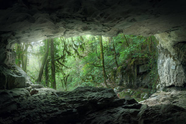 Jomblang cave, Indonesia