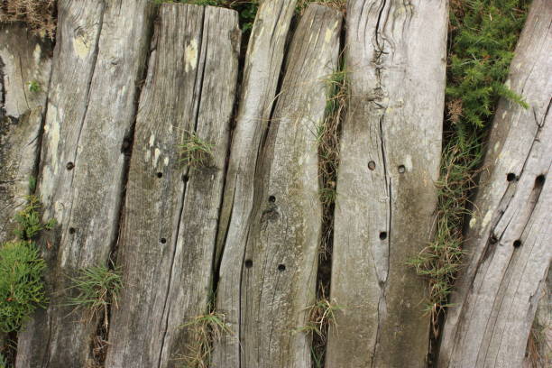 istock Old wooden railway sleepers used as a support 1160533531