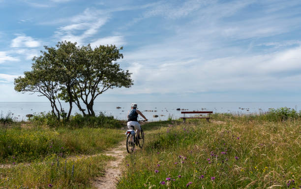 istock Woman bicycling in summer 1160534316
