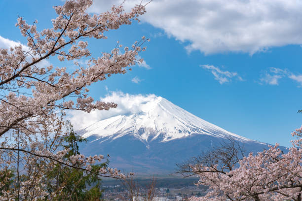 istock snow covered Mount Fuji ( Mt. Fuji ) with clear dark blue sky background in sakura cherry blossoms 1160537358