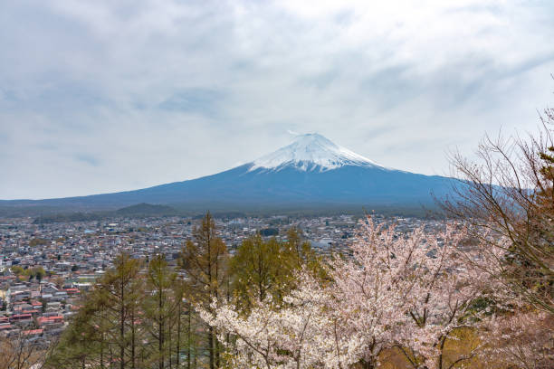 istock Close-up snow covered Mount Fuji ( Mt. Fuji ) with blue sky background in sakura cherry blossoms 1160537527