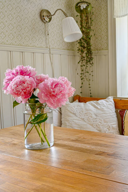 istock big pink peony blossoms indoors in a kitchen 1160537787